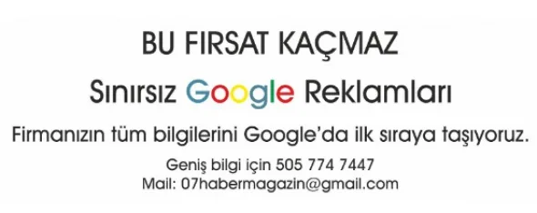   zeytin organizasyon