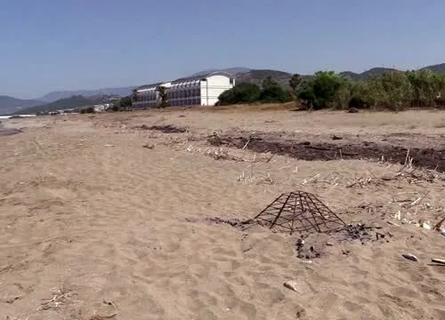 Caretta caretta yuvasının üzerinde ateş yakıldı