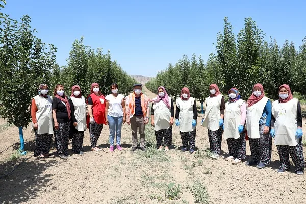 Korkuteli’de Kadın Üreticilerin Siyez Hasadı Mutluluğu
