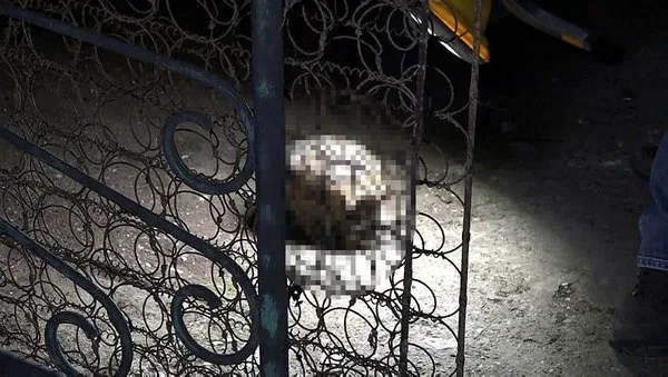 Evinin etrafında temizlik yaparken insan kafatası buldu