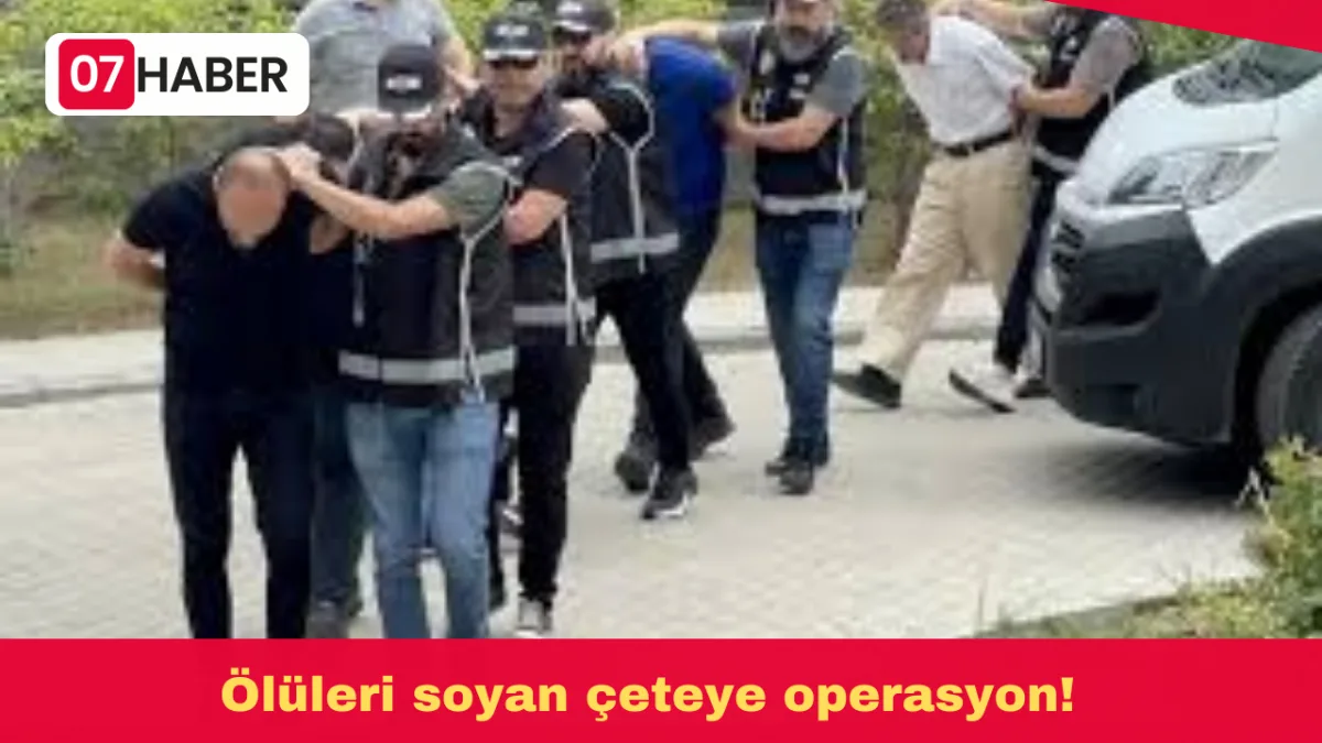 Ölüleri soyan çeteye operasyon!
