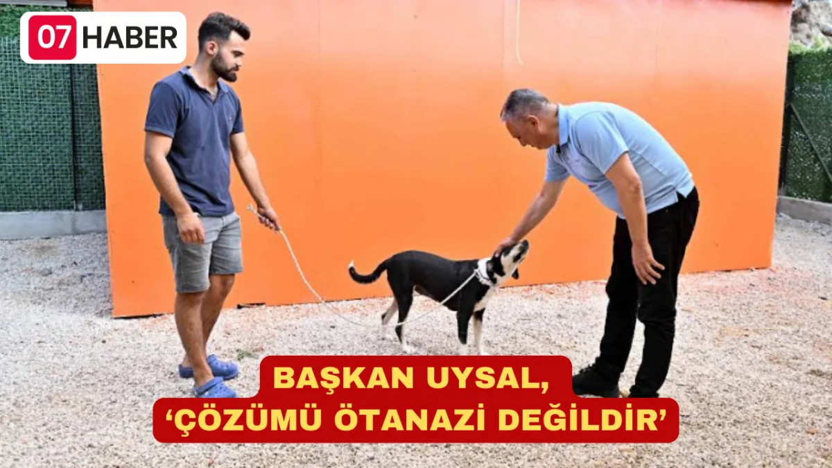 BAŞKAN UYSAL, ‘ÇÖZÜMÜ ÖTANAZİ DEĞİLDİR’