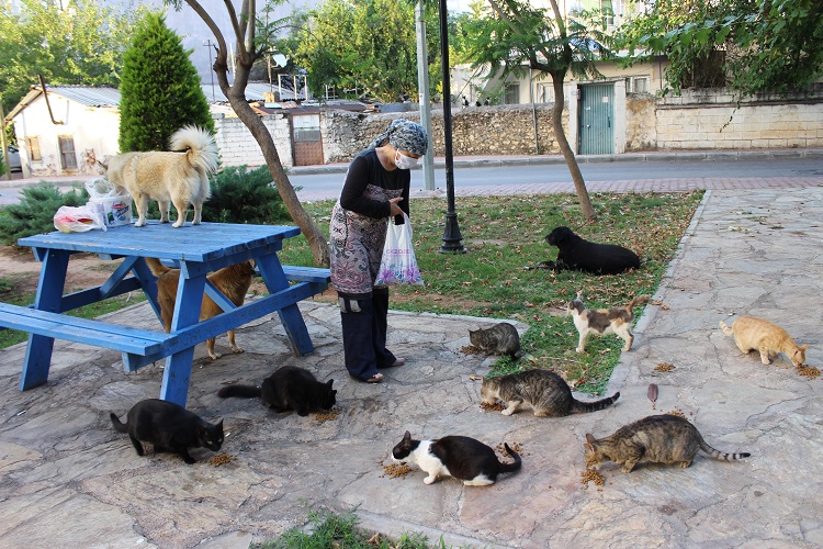 15 yıldır hayvanların dostu