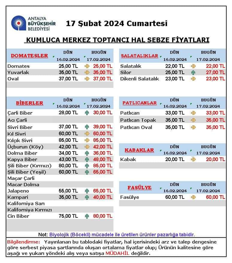 17 ŞUBAT CUMARTESİ ANTALYA HAL FİYATLARI