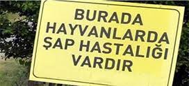 Ardahan’da 50’den Fazla Köyde Şap Karantinası