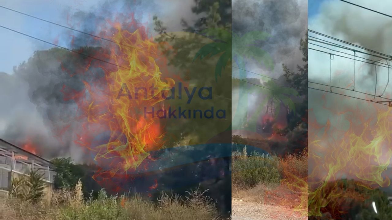 Aksu’daki Orman Yangını Kontrol Altına Alındı, Soğutma Çalışmaları Devam Ediyor