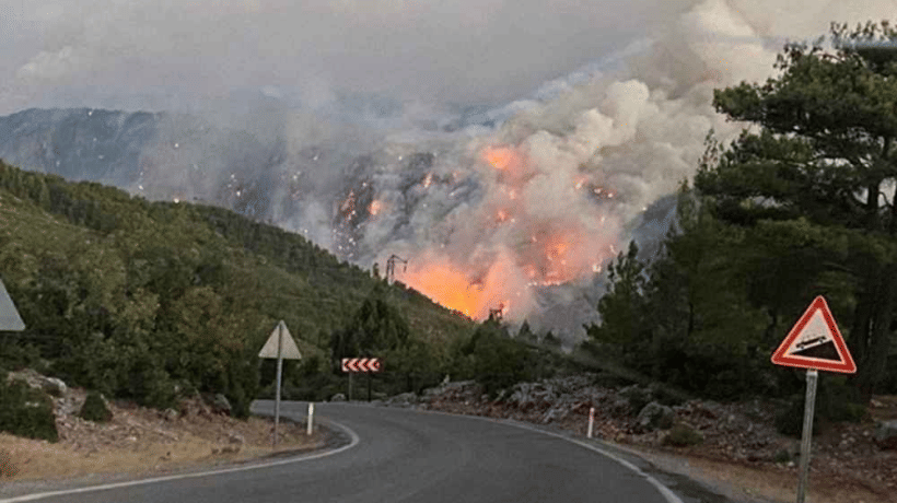 Gündoğmuş ilçesinde ormanlık alanda çıkan yangın söndürüldü