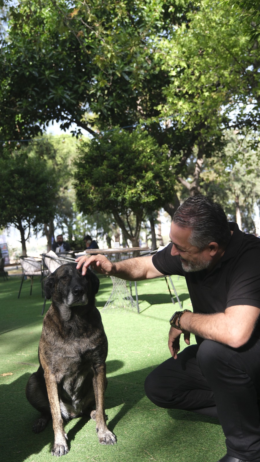 HAYVANLARIN SEVGİ DİLİ 