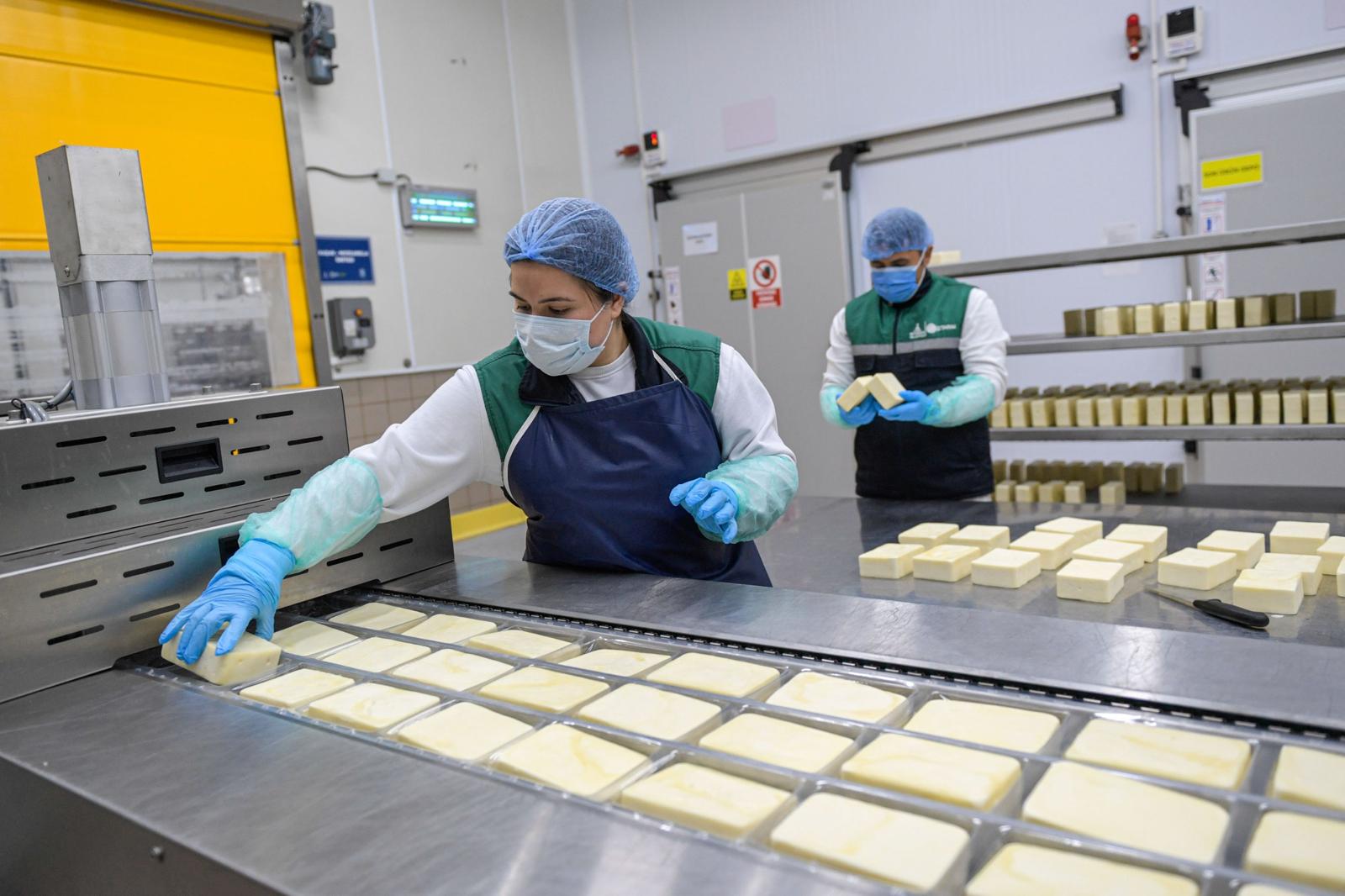 İZMİR Büyükşehir'den halkın sofrasına destek