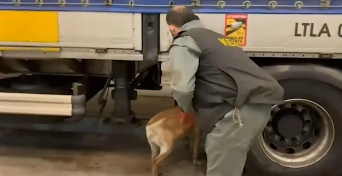 Türkiye genelinde uyuşturucu operasyonu: 1699 gözaltı