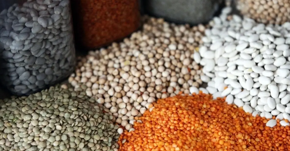 Türkiye’nin gıda ihracatı 2026'da 1,9 milyar dolara ulaştı