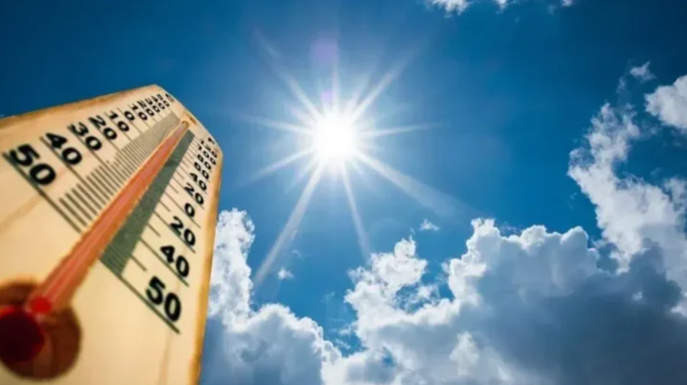 Türkiye, son 56 yılın en sıcak şubat ayını yaşadı