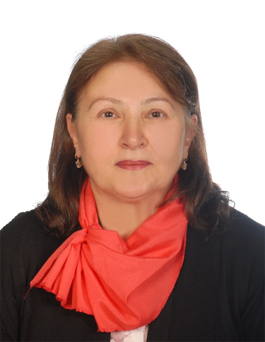 Anadolu Çınarları’ndan Mahalle Odaklı Sosyal Reform:  “MADEK” Modeli Neden olmasın ? 