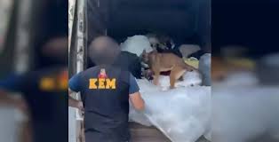 “İzmir’de Düzenlenen Operasyonda 371 Kilogram Uyuşturucu Madde Ele Geçirildi.”