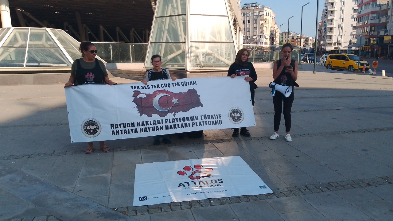 ATTALOS PATİ GÖNÜLLÜLERİ'NDEN SERT TEPKİ: “KUŞLAR ÖLMEYİ DEĞİL, UÇMAYI HAK EDİYOR”