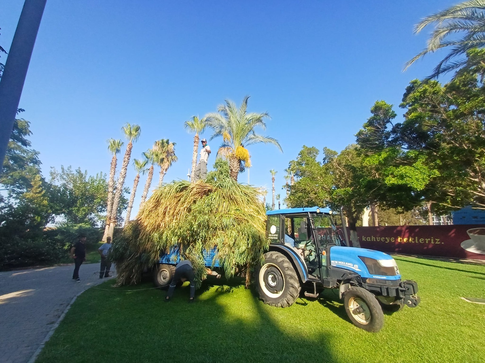 Kemer'de yeşil alanlarda bakım çalışmaları
