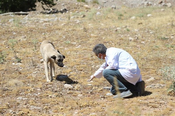 Alanya Belediyesi sokak hayvanları için beslenme noktalarına mama bırakmaya devam ediyor