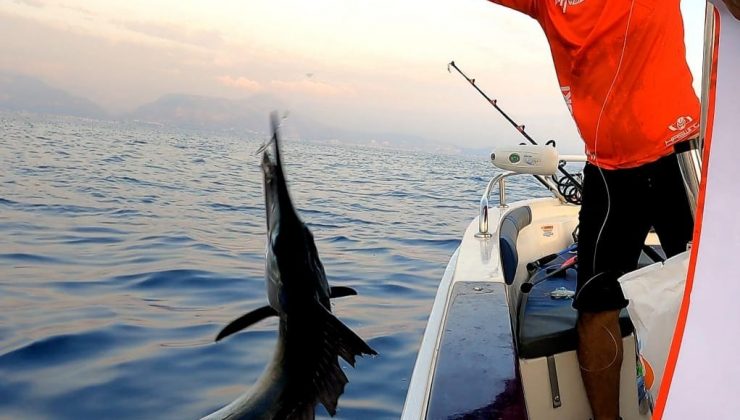 Alanya'da bu yıl üçüncüsü düzenlenen balık tutma yarışmasında nadir görülen merlin balığı yakalandı