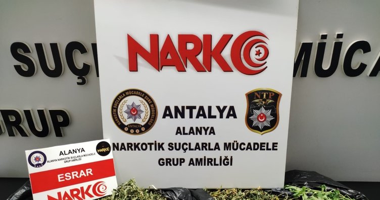 Alanya'da düzenlenen uyuşturucu operasyonunda 600 gram esrar ele geçirildi