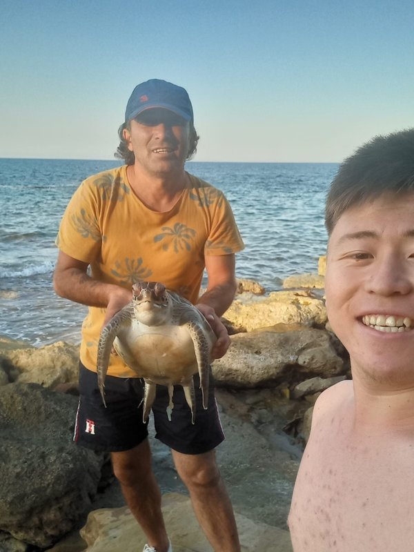 Alanya'da esnaf Caretta Caretta'nın imdadına yetişti