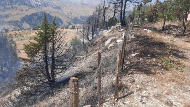 Alanya'da ormanlık alanda çıkan yangın söndürüldü