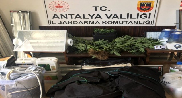 Alanya'da özel düzenekle uyuşturucu yetiştirilen eve baskın