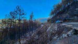 Alanya'daki orman yangınında 230 hektar kül oldu