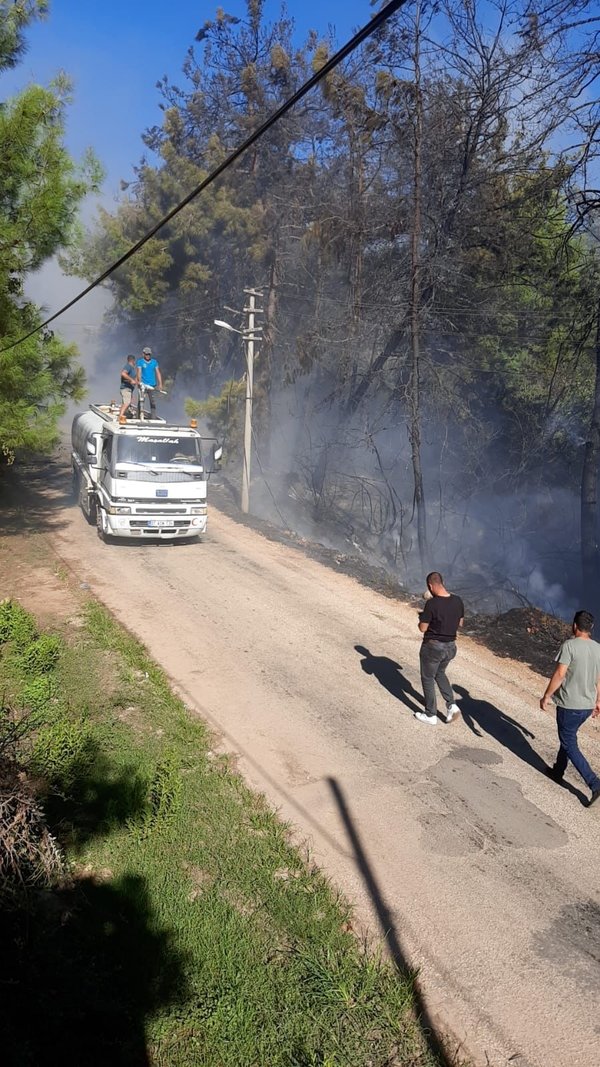 Alanya İlçesi'nin  Karakocalı Mahallesi'nde orman yangını çıktı.