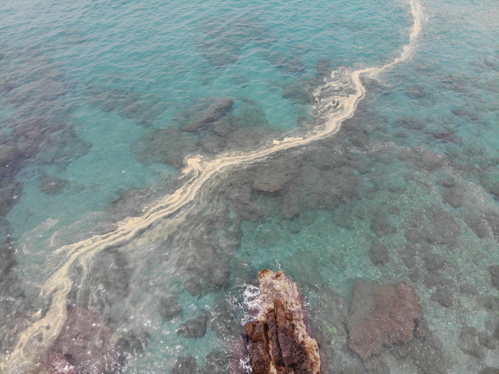 Alanya ilçesinde balıkçıların ’kay kay’ adını verdiği deniz salyası kıyılarda kirliliğe neden oldu