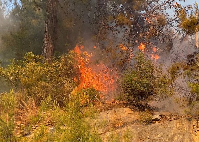 Alanya ilçesinde çıkan orman yangını ekiplerin havadan ve karadan müdahalesiyle söndürüldü
