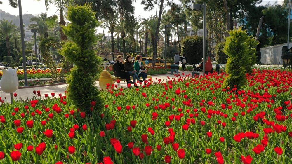 Alanya’ya bahar geldi