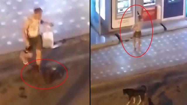 Alkollü turist, önce ATM'yi sonra sokak köpeğini tekmeledi