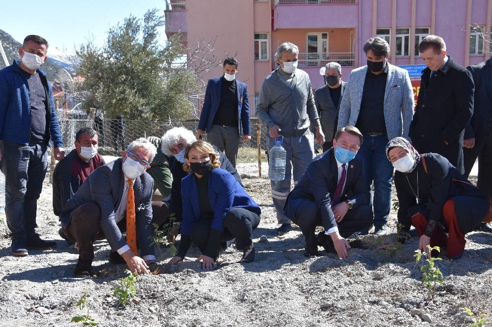 ALKÜ Akseki MYO'dan  gül ve gül yağı üretimi