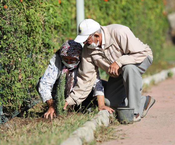 Alzehimer hastaları tıbbi aromatik bitki ile iyileşecek