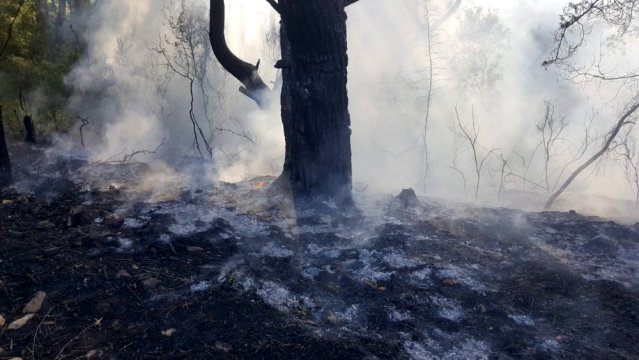 Antalya'da 2 dönüm makilik alan yandı