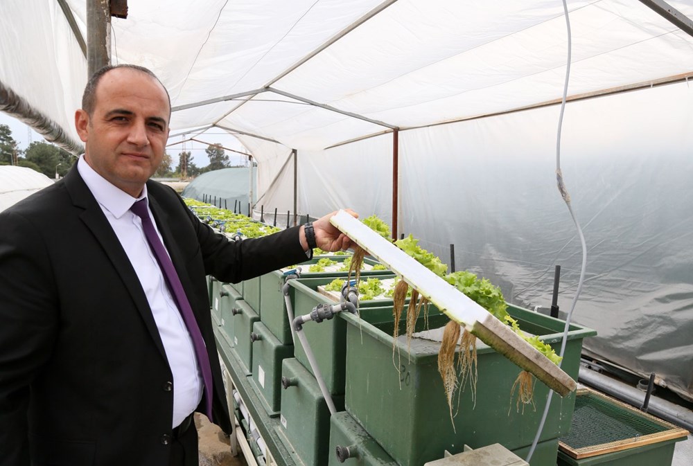 Antalya'da  Akdeniz Su Ürünleri Araştırma, Üretme ve Eğitim Enstitüsü'nde (AKSAM), balık ve sebze türleri aynı suda yetiştiriliyor.