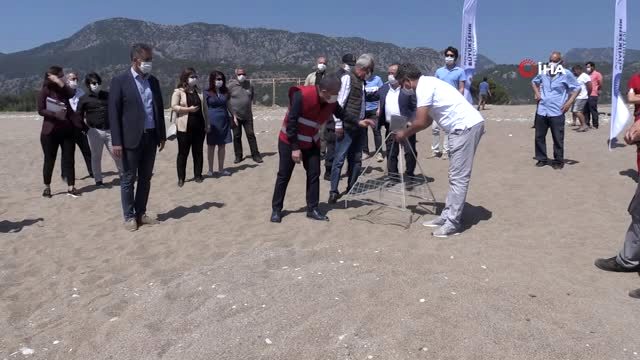 Antalya'da deniz kaplumbağalarının yuvalama alanını koruma altına alındı