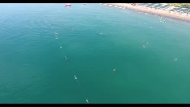 Antalya'da denizde yüzenlere yunus sürprizi
