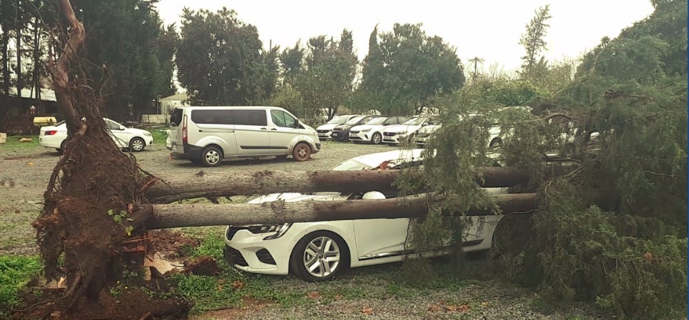 Antalya’da fırtınada devrilen ağacın altında kalan bir rent a car şirketinin otoparkındaki yeni otomobil kullanılamaz hale geldi