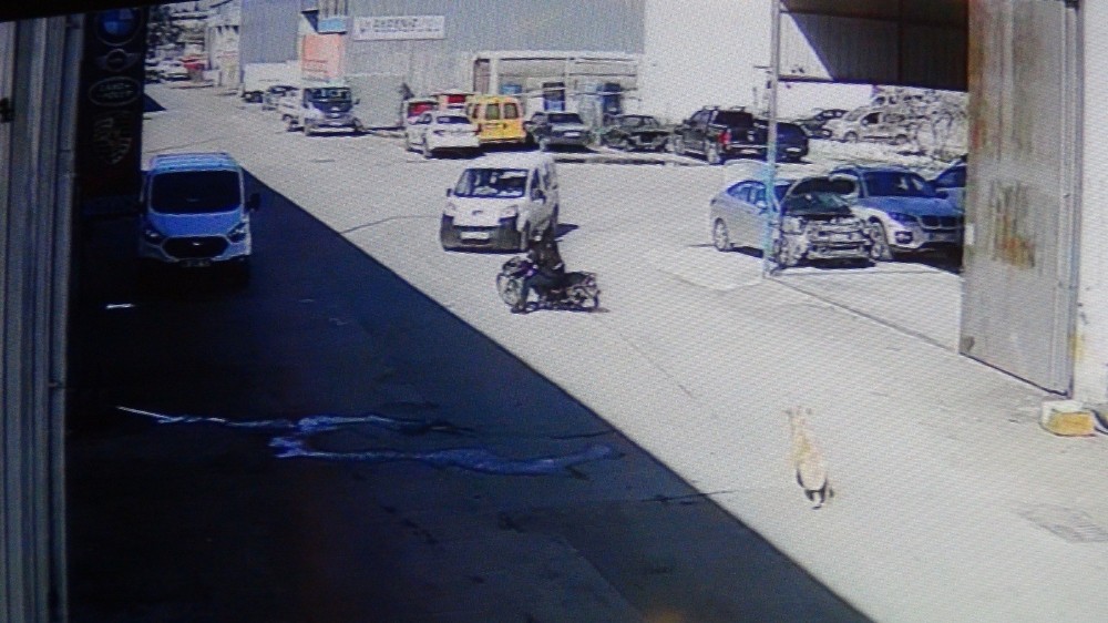 Antalya’da köpekten kaçan sürücünün kullandığı motosiklet, ticari araçla çarpıştı. 