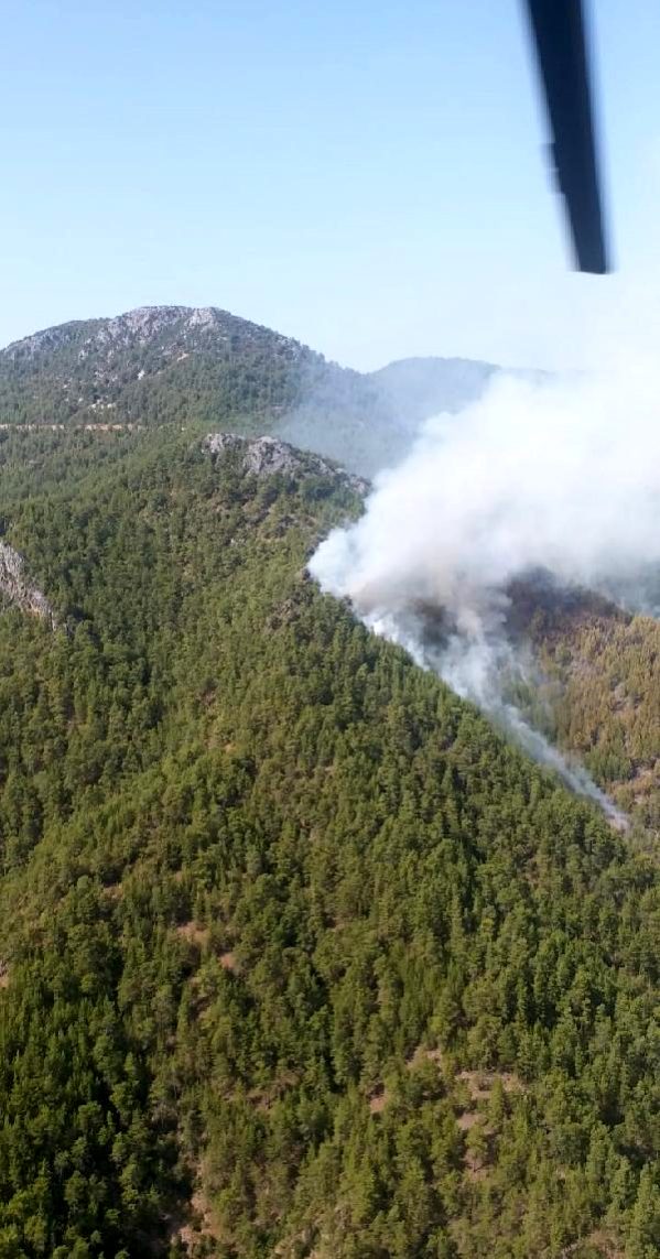 Antalya'da orman yangını