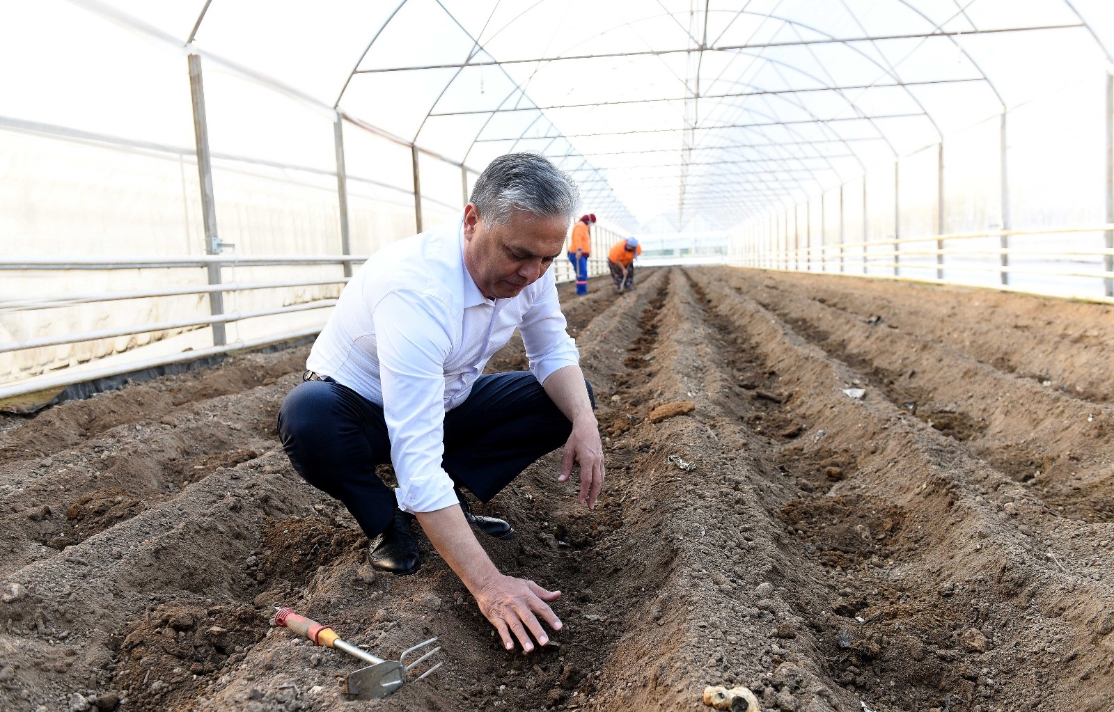 Antalya'da son yıllarda kullanımı giderek yaygınlaşan zencefilin üretimine başlandı.