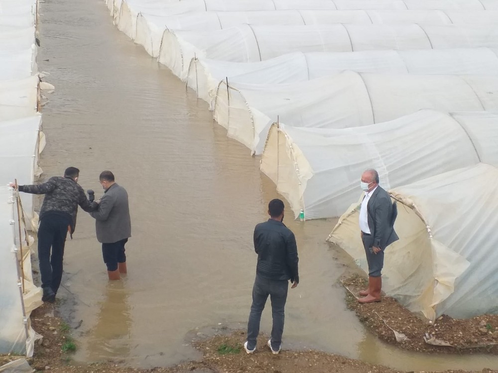 Antalya’da taşan dere seraları su altında bıraktı