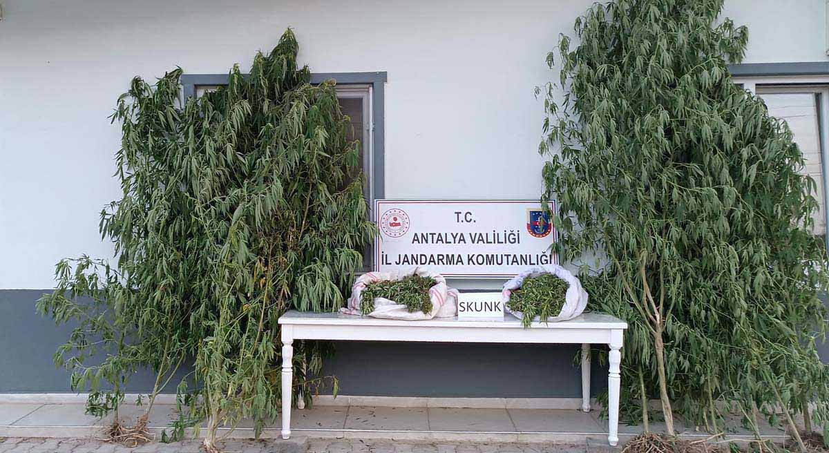 Antalya’da Uyuşturucuya Geçit Yok