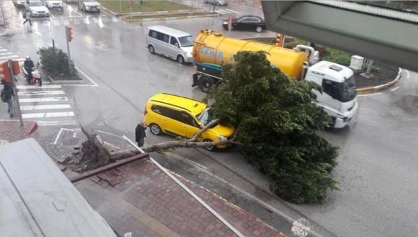 Antalya'da yağmur ve fırtına hayatı olumsuz etkiliyor