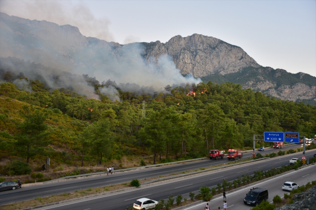 Antalya'daki orman yangınında hastane ve evler boşaltıldı