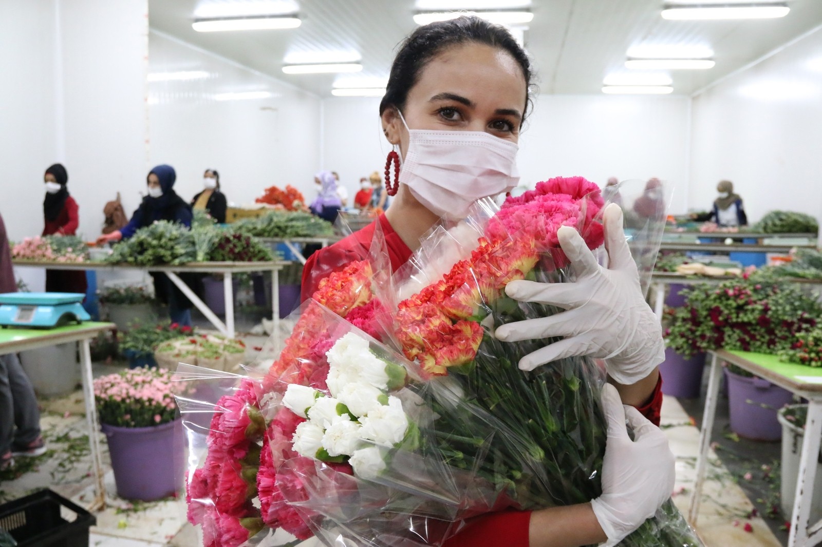 Antalya’dan 7 milyon dolar değerinde 65 milyon dal kesme çiçek, Anneler Günü öncesi Avrupa’ya gönderildi