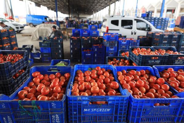 Antalya'dan dünyanın dört bir yanına meyve sebze ihracatı