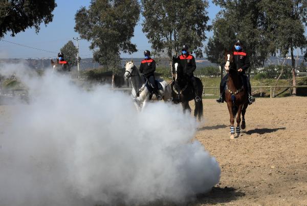 ANTALYA Emniyet Müdürlüğü Atlı Polis Birliği'nde görev yapan atlara eğitim