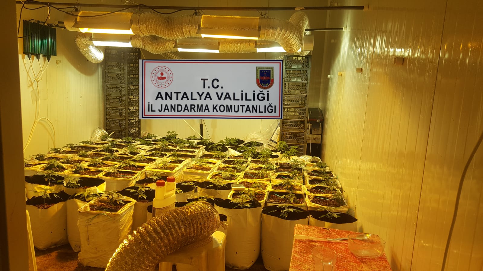 Antalya'nın Aksu İlçesinde Uyuşturucu Operasyonu
